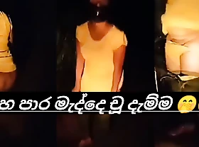 Sri lankan aunty alfresco pissing video